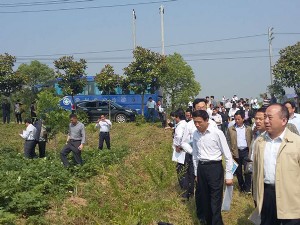 市林业局局长率全市各县林业局长、林业主体企业来我司观摩指导林下间作工作