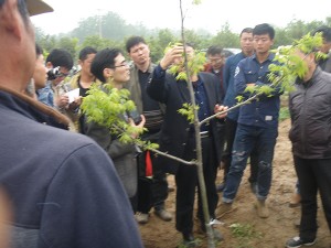 专家指导：江苏农科院刘教授多次来我公司指导薄壳山核桃大田管理