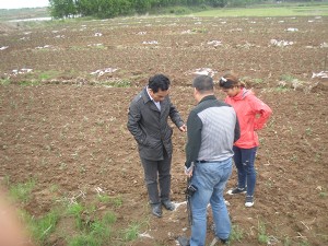 专家指导：江苏农科院刘教授多次来我公司指导薄壳山核桃大田管理