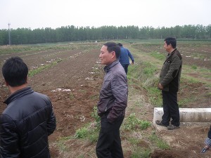 专家指导：江苏农科院刘教授多次来我公司指导薄壳山核桃大田管理