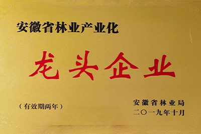 3、龙头企业