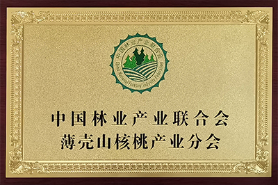 7、中国林业产业联合会薄壳山核桃产业分会