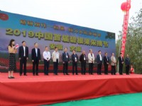 各位领导亲临在我公司举办的碧根果采摘节