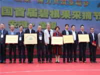 公司领导采摘节登台领奖