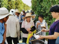 夏季公司做好防暑降温工作把凉爽送到田间